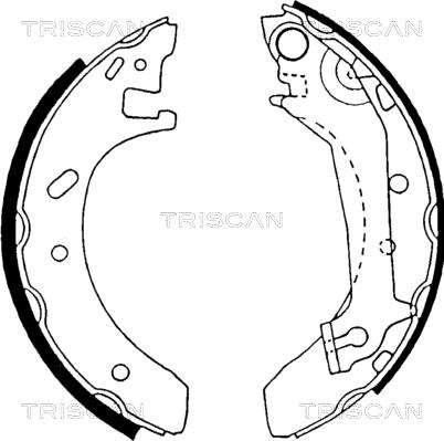 Triscan 8100 16574 - Комплект тормозных колодок, барабанные autosila-amz.com