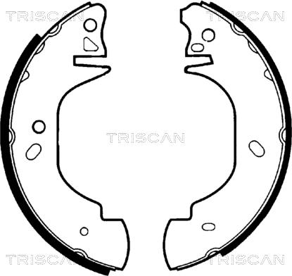 Triscan 8100 16570 - Комплект тормозных колодок, барабанные autosila-amz.com