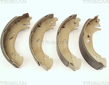 Triscan 8100 16571 - Комплект тормозных колодок, барабанные autosila-amz.com