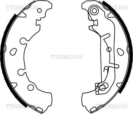 Triscan 8100 16006 - Комплект тормозных колодок, барабанные autosila-amz.com