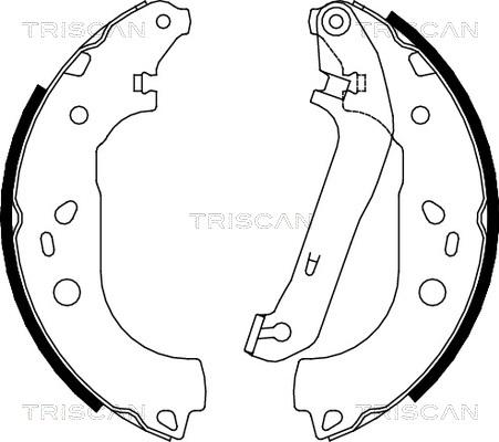 Triscan 8100 16011 - Комплект тормозных колодок, барабанные autosila-amz.com