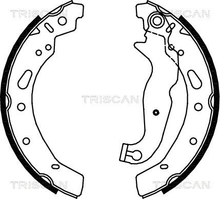 Triscan 8100 16012 - Комплект тормозных колодок, барабанные autosila-amz.com