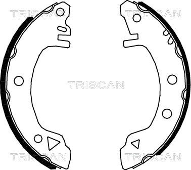 Triscan 8100 16375 - Комплект тормозных колодок, барабанные autosila-amz.com