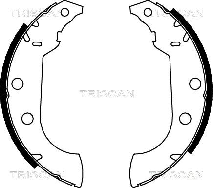 Triscan 8100 10489 - Комплект тормозных колодок, барабанные autosila-amz.com