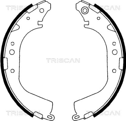 Triscan 8100 10425 - Комплект тормозных колодок, барабанные autosila-amz.com