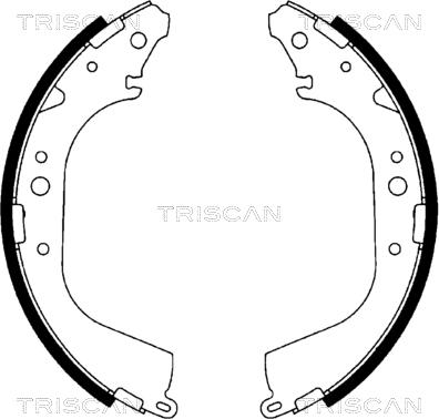 Triscan 8100 10519 - Комплект тормозных колодок, барабанные autosila-amz.com