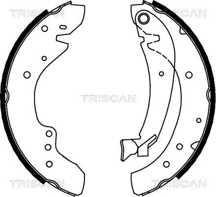 Triscan 8100 10573 - Комплект тормозных колодок, барабанные autosila-amz.com