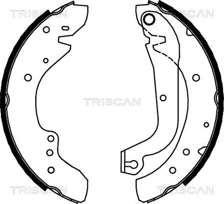 Triscan 8100 10577 - Комплект тормозных колодок, барабанные autosila-amz.com