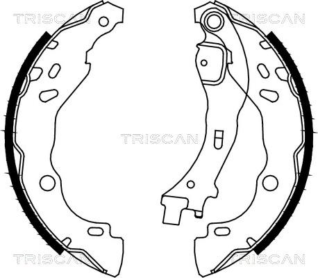 Triscan 8100 10009 - Комплект тормозных колодок, барабанные autosila-amz.com