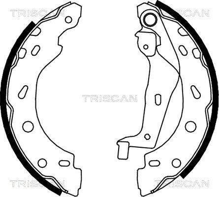 Triscan 8100 10005 - Комплект тормозных колодок, барабанные autosila-amz.com