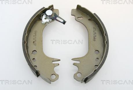 Triscan 8100 10006 - Комплект тормозных колодок, барабанные autosila-amz.com
