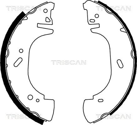 Triscan 8100 10002 - Комплект тормозных колодок, барабанные autosila-amz.com