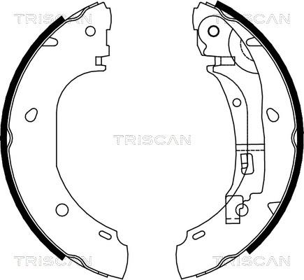 Triscan 8100 10007 - Комплект тормозных колодок, барабанные autosila-amz.com