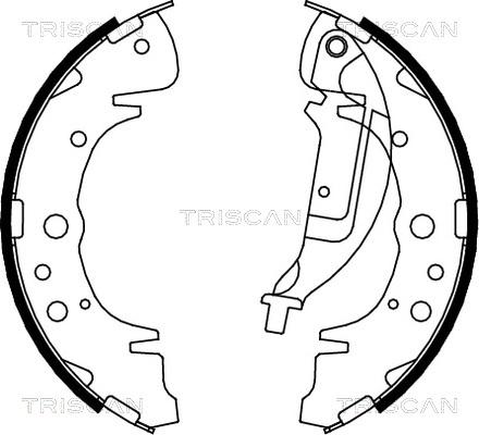 Triscan 8100 10019 - Комплект тормозных колодок, барабанные autosila-amz.com