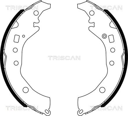 Triscan 8100 10039 - Комплект тормозных колодок, барабанные autosila-amz.com