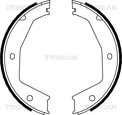 Triscan 8100 10034 - Комплект тормозов, ручник, парковка autosila-amz.com