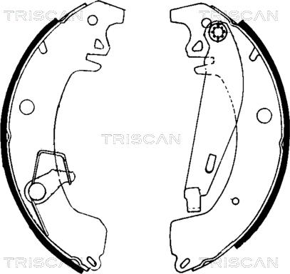 Triscan 8100 10031 - Комплект тормозных колодок, барабанные autosila-amz.com