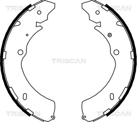 Triscan 8100 10032 - Комплект тормозных колодок, барабанные autosila-amz.com