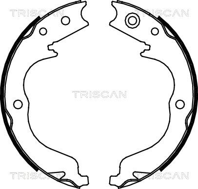 Triscan 8100 10029 - Комплект тормозных колодок, барабанные autosila-amz.com