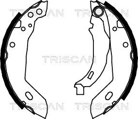 Triscan 8100 10389 - Комплект тормозных колодок, барабанные autosila-amz.com