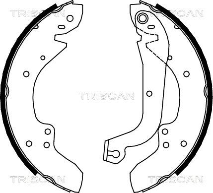 Triscan 8100 10374 - Комплект тормозных колодок, барабанные autosila-amz.com