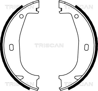 Triscan 8100 11553 - Комплект тормозов, ручник, парковка autosila-amz.com