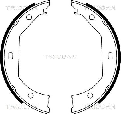 Triscan 8100 11638 - Комплект тормозных колодок, барабанные autosila-amz.com