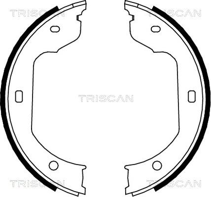 Triscan 8100 11012 - Комплект тормозных колодок, барабанные autosila-amz.com