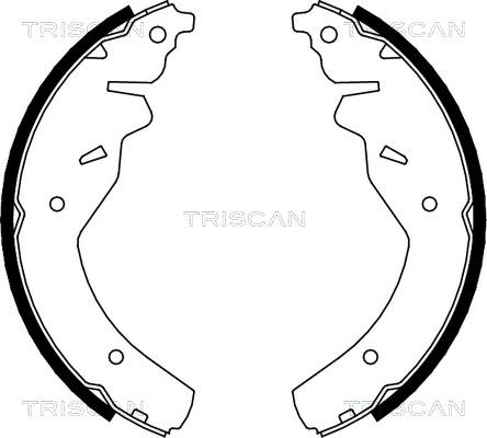 Triscan 8100 18595 - Комплект тормозных колодок, барабанные autosila-amz.com