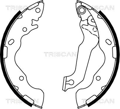 Triscan 8100 18009 - Комплект тормозных колодок, барабанные autosila-amz.com