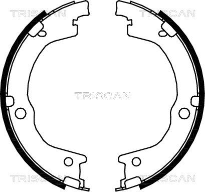 Triscan 8100 18006 - Комплект тормозных колодок, барабанные autosila-amz.com