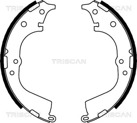 Triscan 8100 13591 - Комплект тормозных колодок, барабанные autosila-amz.com