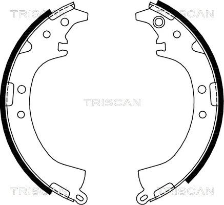 Triscan 8100 13569 - Комплект тормозных колодок, барабанные autosila-amz.com