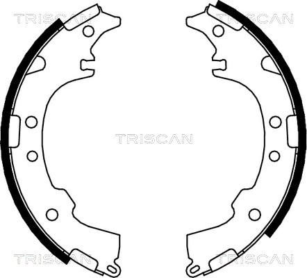 Triscan 8100 13601 - Комплект тормозных колодок, барабанные autosila-amz.com