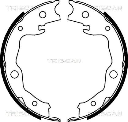 Triscan 8100 13042 - Комплект тормозных колодок, барабанные autosila-amz.com