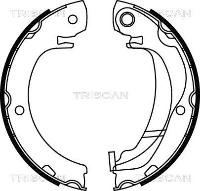 Triscan 8100 13047 - Комплект тормозов, ручник, парковка autosila-amz.com