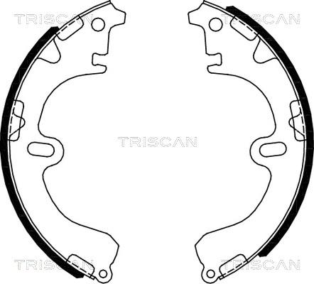 Triscan 8100 13051 - Комплект тормозных колодок, барабанные autosila-amz.com