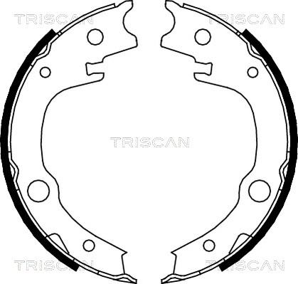 Triscan 8100 13039 - Комплект тормозов, ручник, парковка autosila-amz.com