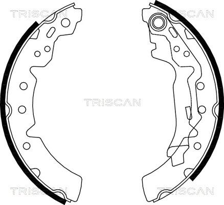 Triscan 8100 13031 - Комплект тормозных колодок, барабанные autosila-amz.com
