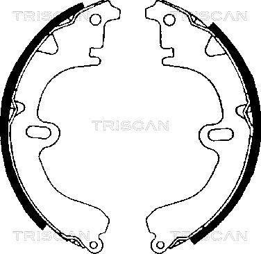 Triscan 8100 13392 - Комплект тормозных колодок, барабанные autosila-amz.com