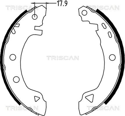 Triscan 8100 12523 - Комплект тормозных колодок, барабанные autosila-amz.com