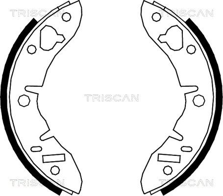 Triscan 8100 17003 - Комплект тормозных колодок, барабанные autosila-amz.com
