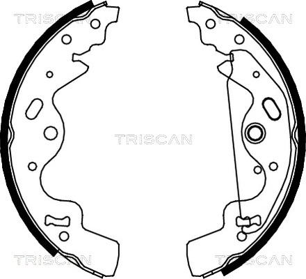 Triscan 8100 17010 - Комплект тормозных колодок, барабанные autosila-amz.com