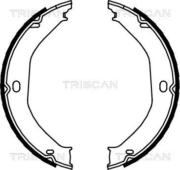 Triscan 8100 80008 - Комплект тормозов, ручник, парковка autosila-amz.com