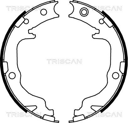 Triscan 8100 80010 - Комплект тормозов, ручник, парковка autosila-amz.com
