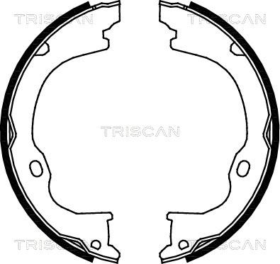 Triscan 8100 80011 - Комплект тормозов, ручник, парковка autosila-amz.com