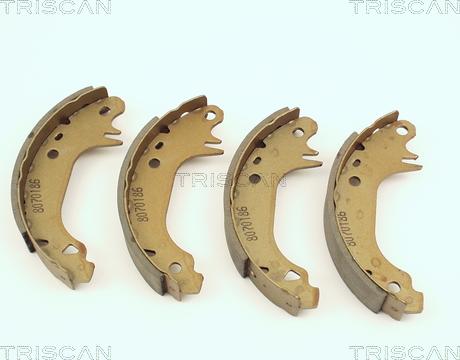 Triscan 8100 38491 - Комплект тормозных колодок, барабанные autosila-amz.com