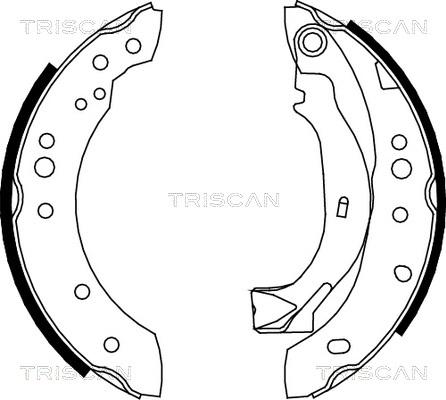 Triscan 8100 38001 - Комплект тормозных колодок, барабанные autosila-amz.com