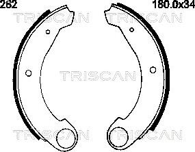 Triscan 8100 38262 - Комплект тормозных колодок, барабанные autosila-amz.com