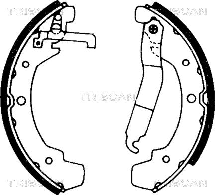 Triscan 8100 29437 - Комплект тормозных колодок, барабанные autosila-amz.com